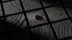 The Sagrado Panel adds gothic character with Shou Sugi Ban solid larch wood squares with solid copper medallion inlays.