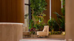 Lounge seating in boutique hotel with wood paneling and large plants in background.