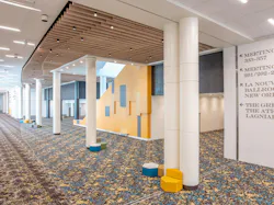 Convention center carpet pattern of pale gold, deep brown, and blue mimics undulating river water ripples, while a custom curved ceiling treatment in natural wood tones houses downlights in between linear forms