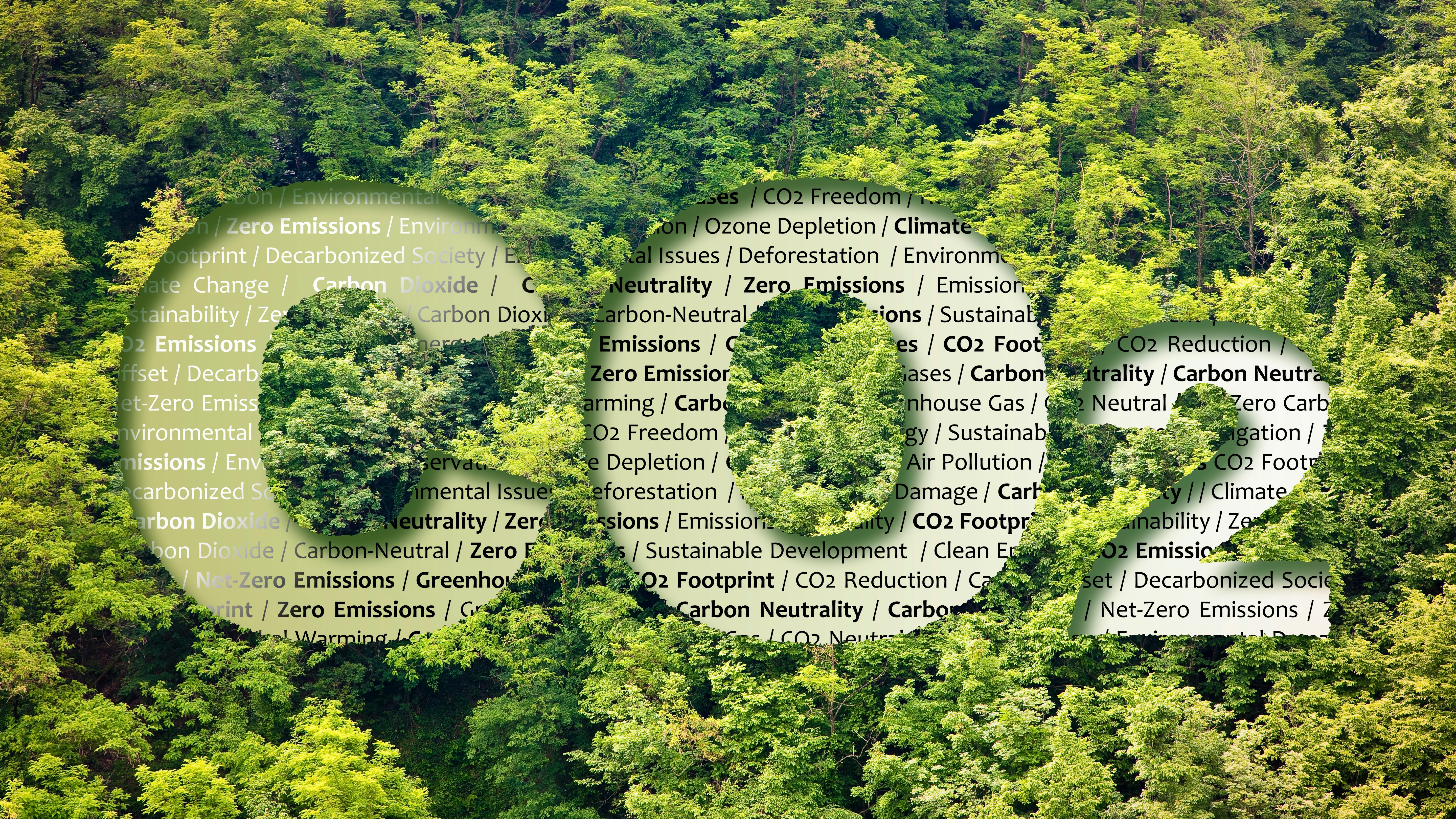 Aerial view of forest with CO2 superimposed with sustainability definitions inside the letters.