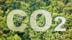 Aerial view of forest with CO2 superimposed with sustainability definitions inside the letters.
