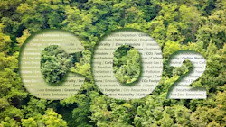 Aerial view of forest with CO2 superimposed with sustainability definitions inside the letters.